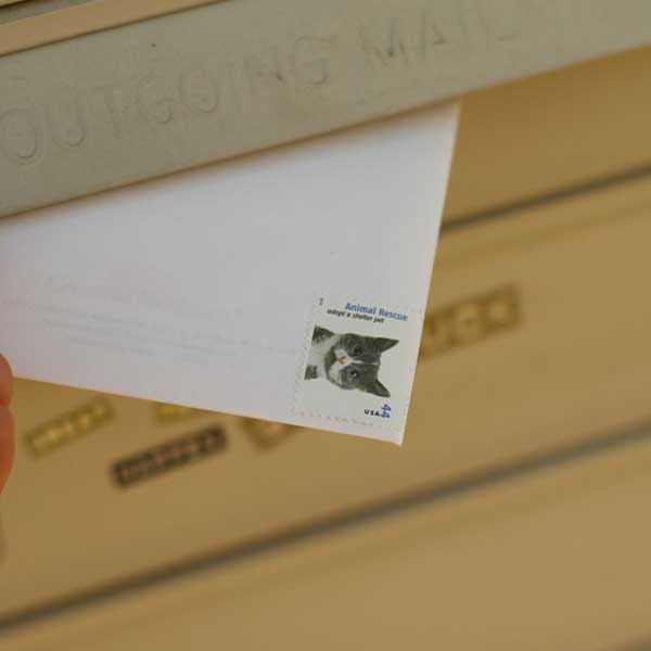 folding and inserting